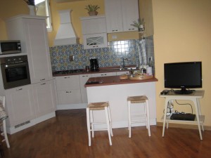 IMG_5255 kitchen area - love the disguised dishwasher and ice box