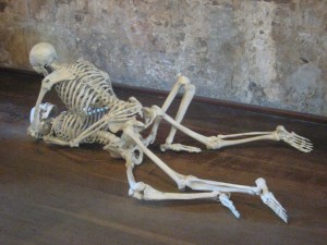 img_4771 skeleton porn