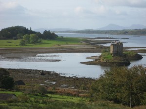 IMG_8462 IMG_8462