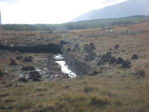 IMG_9824 Peat bogs: source of heat and former major revenue for Ireland
