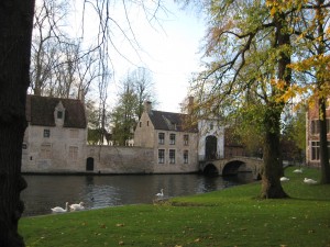 IMG_0444 Cool canal complete with swans