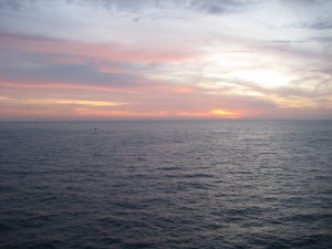 IMG_1849 ...sigh...