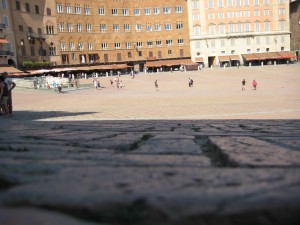 IMG_5494