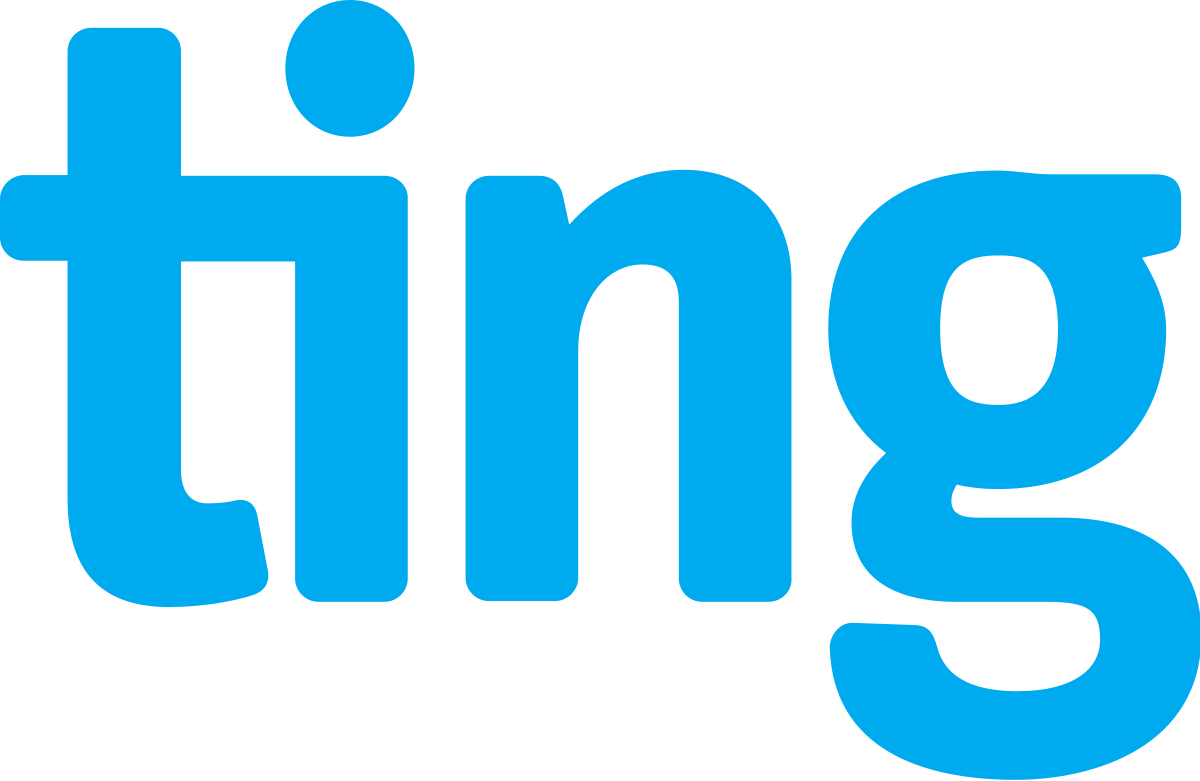 ting logo